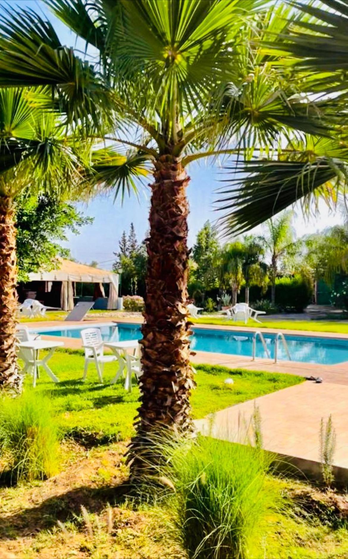 Villa Baddi Marrakech Lagouassem Экстерьер фото